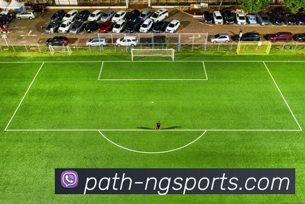 ng体育服务体系