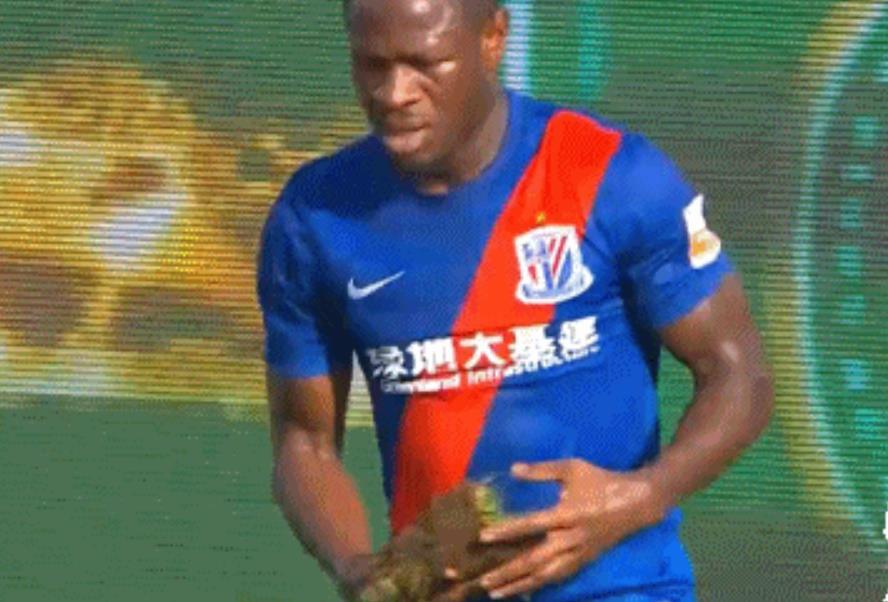  乌迪内斯主场草皮状况恶劣，遭足协严厉警告  